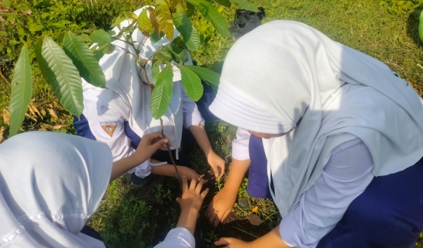 MTsN 9 JOMBANG SUKSESKAN  GERAKAN PENANAMAN 1 JUTA POHON MATOA